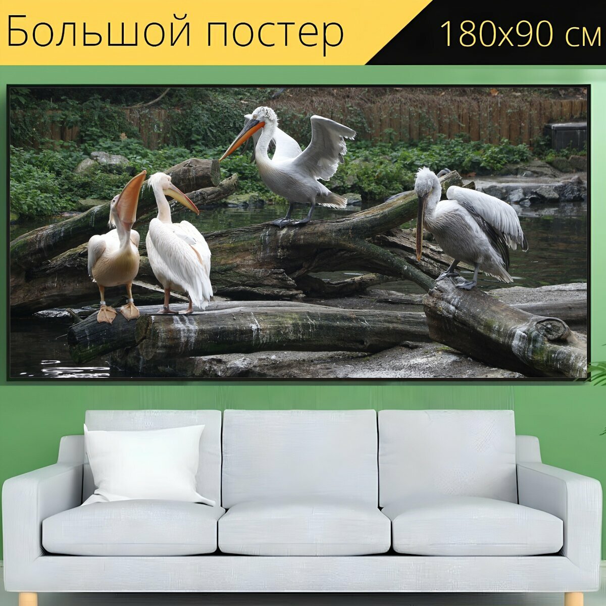 Большой постер "Птица, птицы, зоопарк" 180 x 90 см. для интерьера