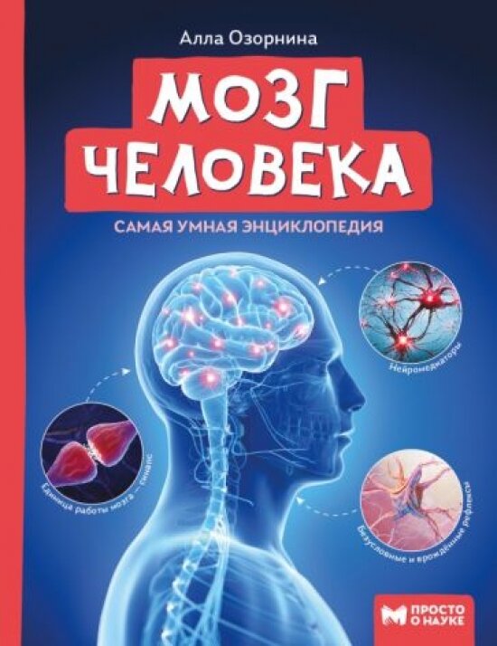 Мозг человека. Самая умная энциклопедия - фото №13