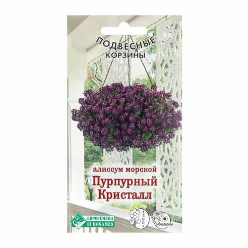 Семена цветов Алиссум морской Пурпурный Кристалл, 0,02 г ( 1 упаковка ) цветы гейхер русский огорода пурпурный замок 0 01 г