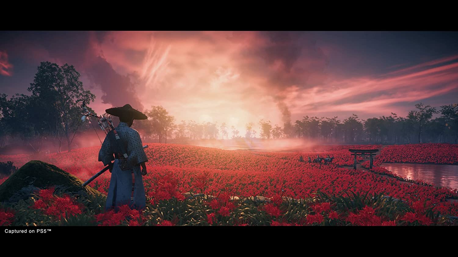 Ghost of Tsushima Director's Cut (Призрак Цусимы) для PlayStation 4 (PS4, Диск, Русская версия: Текст + Озвучка) — фото 1