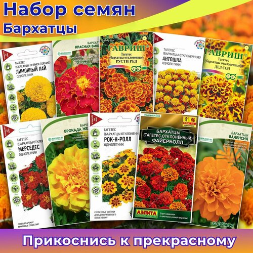 Набор семян Бархатцы 10 упаковок ассорти семян овощей набор из 10 упаковок