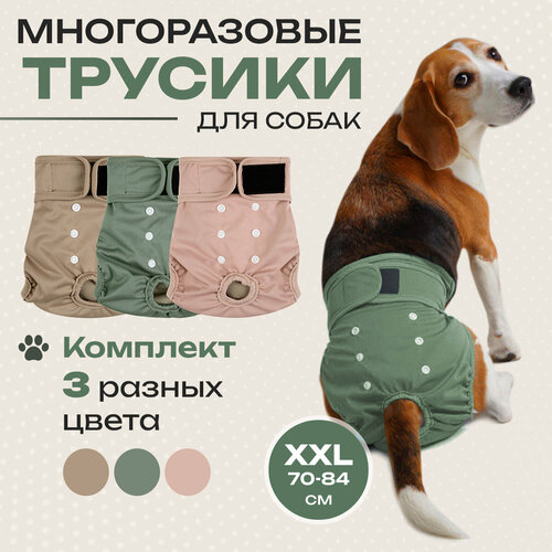Трусы для собаки во время течки многоразовые, подгузники для собак средних пород впитывающие в комплекте 3 шт XXL