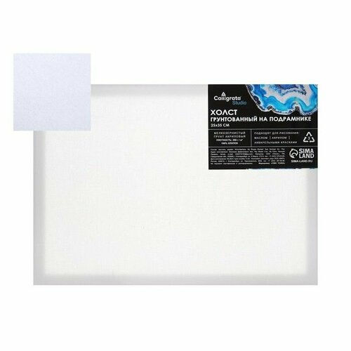 Холст на подрамнике хлопок 100 акрил грунт 16 25 35 см мз 280гм 670₽