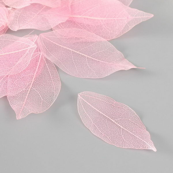 Листья скелетированные для творчества "Светло-розовые" набор 20 шт h=6-6.5 см