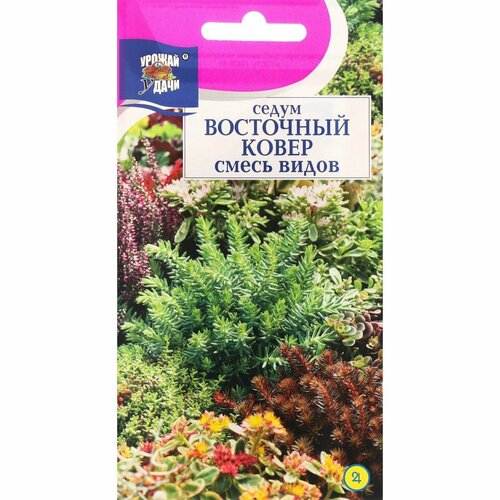 Суккулент ковровый для сада Седум, смесь видов