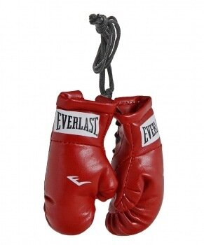 Брелок Everlast