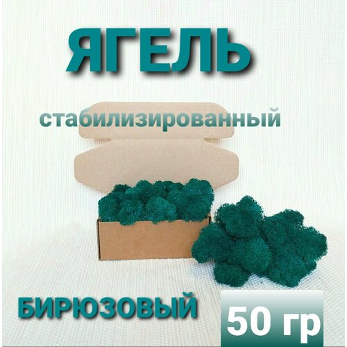 Ягель стабилизированный бирюзовый от Norwegian Wood 50 гр