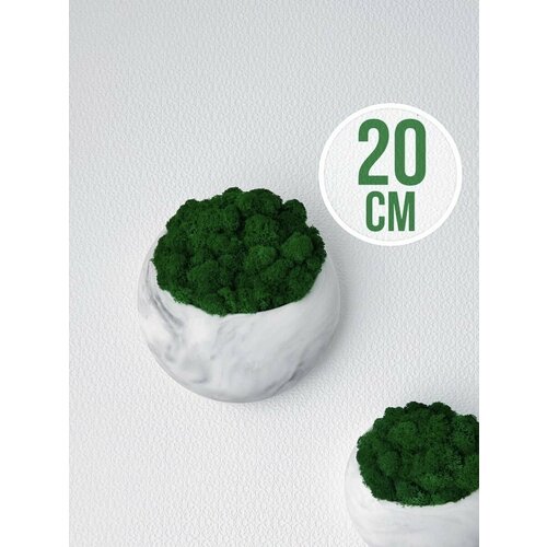 Настенное кашпо и стабилизированный мох 1900₽