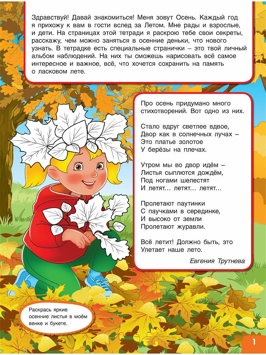 Вспоминаем осень! Мой первый альбом наблюдений. Учимся видеть и понимать - фото №9