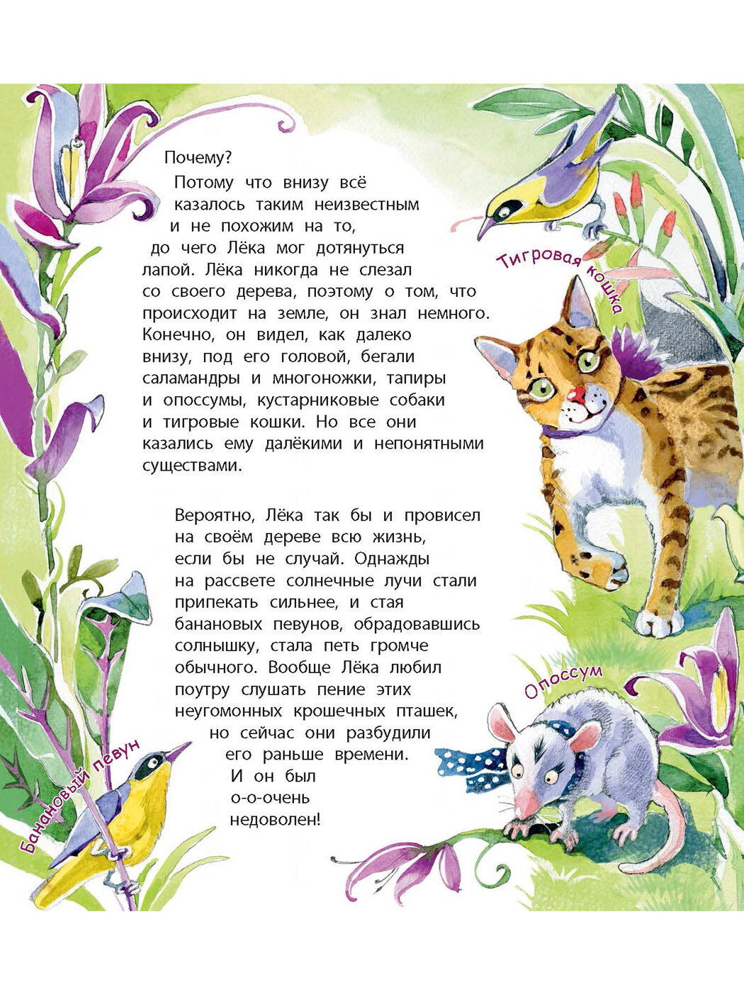 Неленивый ленивец и его соседи - фото №3
