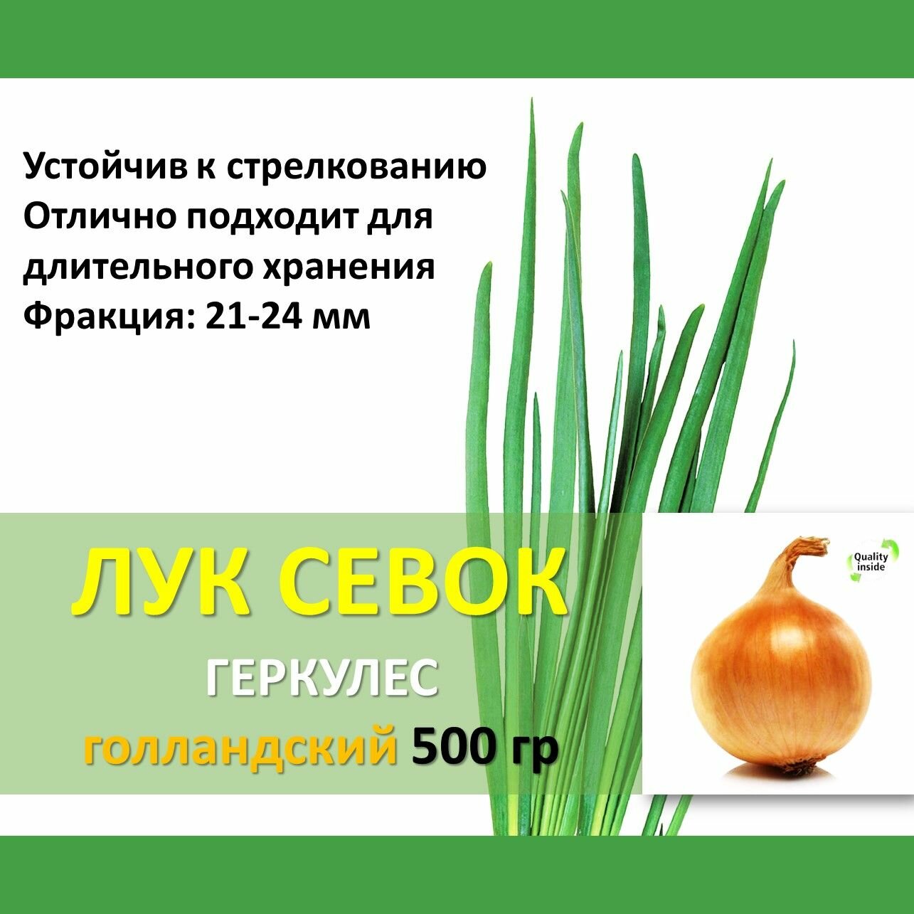 Голландский лук севок Геркулес 05 кг желтый