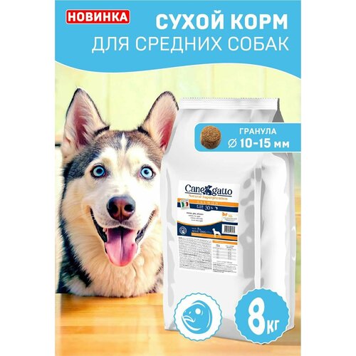 Корм сухой для собак Canegatto, Лосось, для средних пород, 8 кг