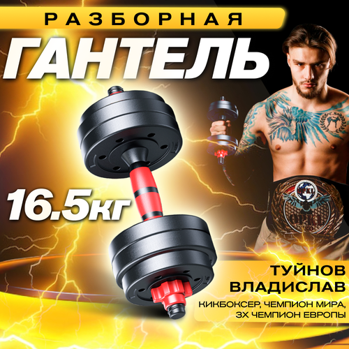 Гантель титан разборная для фитнеса 1 шт. по 16.5 кг