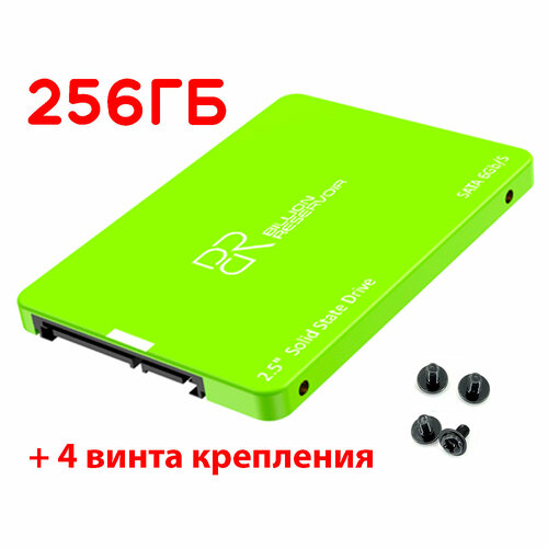256 ГБ Внутренний SSD диск Billion Reservoir 25 SATA3 J11-256GB 4 винта крепления 268800₽