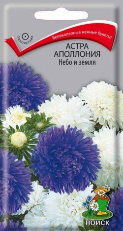 Астра Аполлония Небо и земля 03гр. (Поиск)