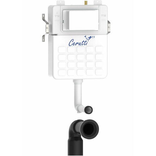 Ceruttispa CR333
