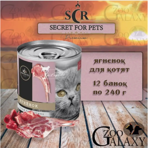 SECRET FOR PETS Premium Консервы для котят ягненок, 12х240 г соль сетра 500 г йодированная пищевая мелкая