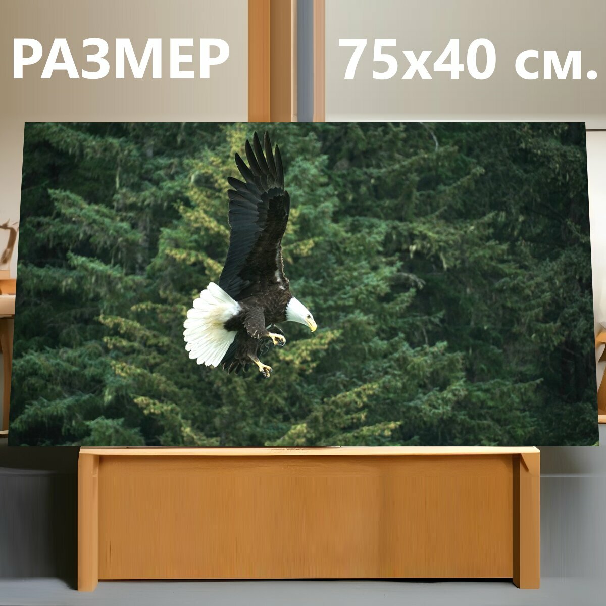 Картина на холсте "Белоголовый орлан, аляска, природа" на подрамнике 75х40 см. для интерьера
