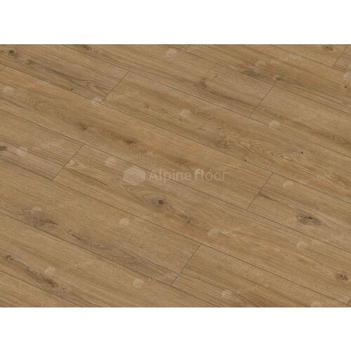 Arteo 8 M Дуб Катам 62754