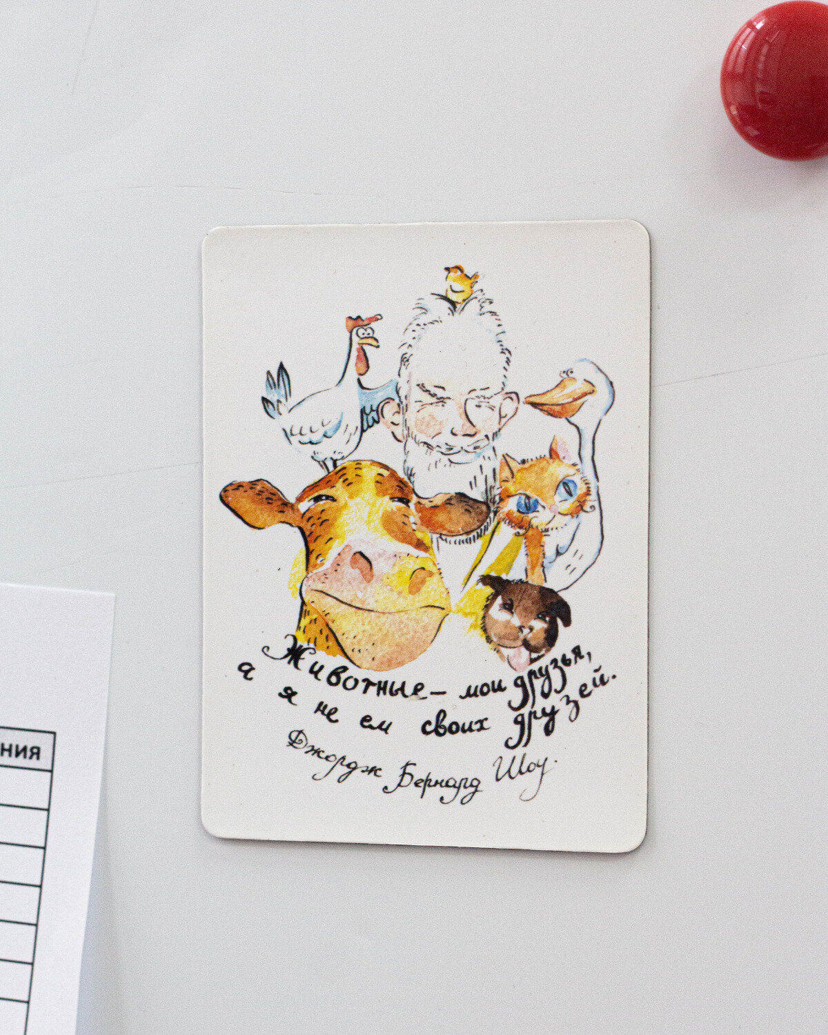 Магнит "Животные - мои друзья" - фонд РЭЙ — фото 1