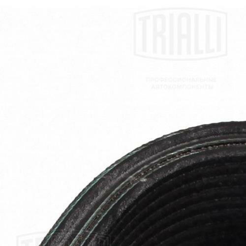 Ремень поликлиновой (9PK2338) (TRIALLI) - фото №8