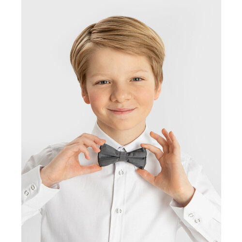 Бабочка Button Blue серый 699₽