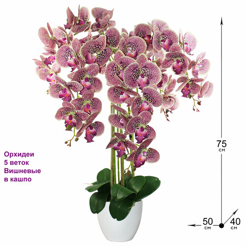 Искусственные Орхидеи 5 веток вишневые в белом кашпо 75см от ФитоПарк