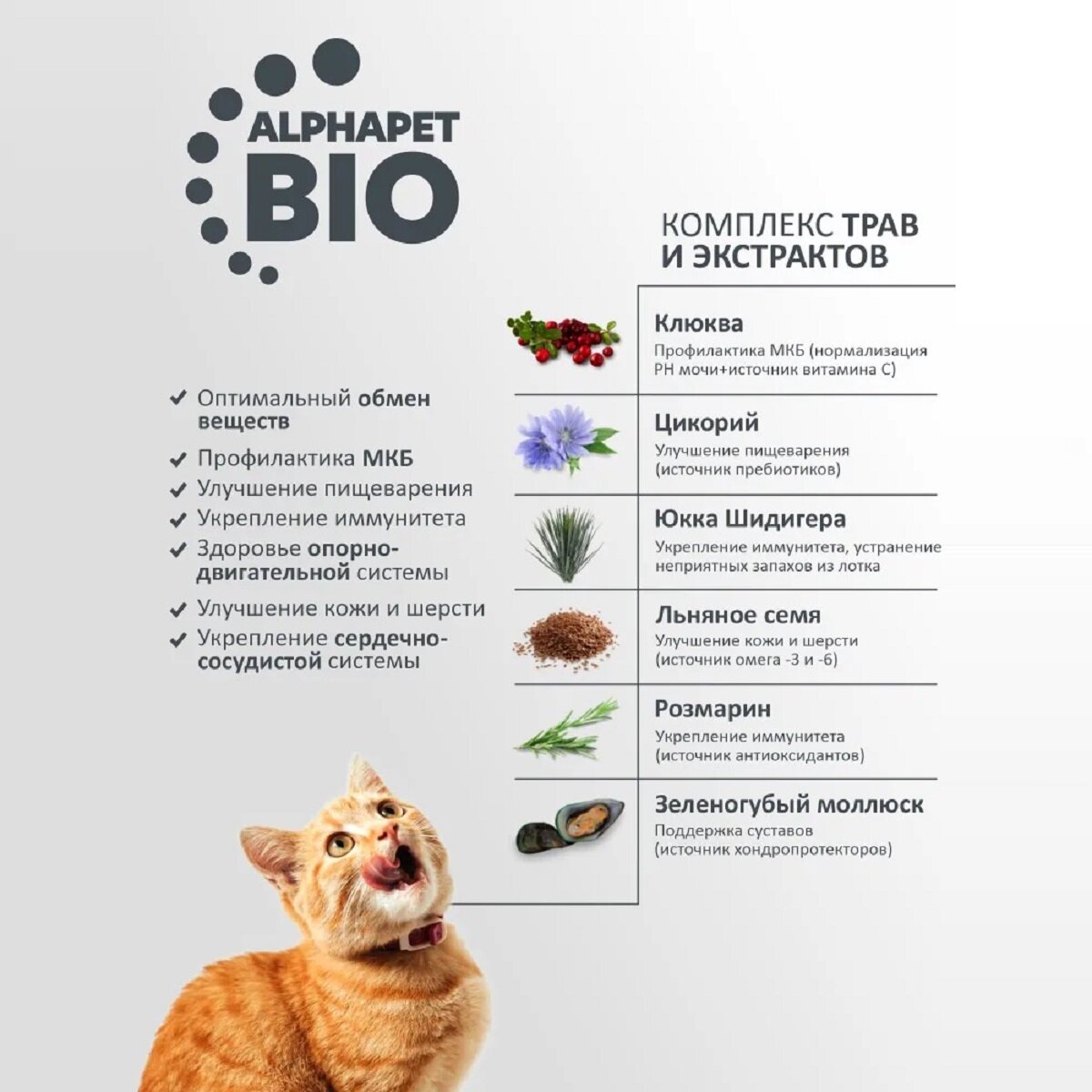 ALPHAPET SUPERPREMIUM корм сухой для стерилизованных кошек и котов с Ягненком и индейкой 7кг — фото 1