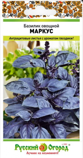 Семена Базилик Маркус овощной 03г Ранние (Русский Огород)