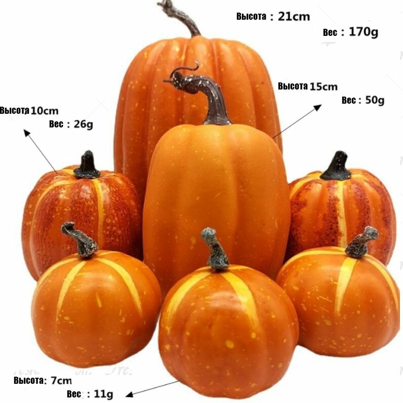 Декоративная тыква 