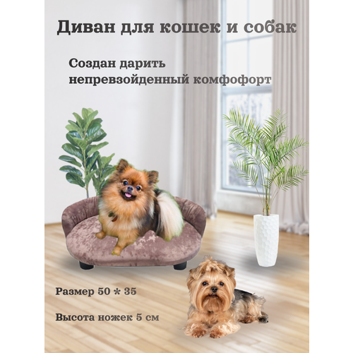 Лежанка, диван для кошек и собак, цвет розовый, 50 см