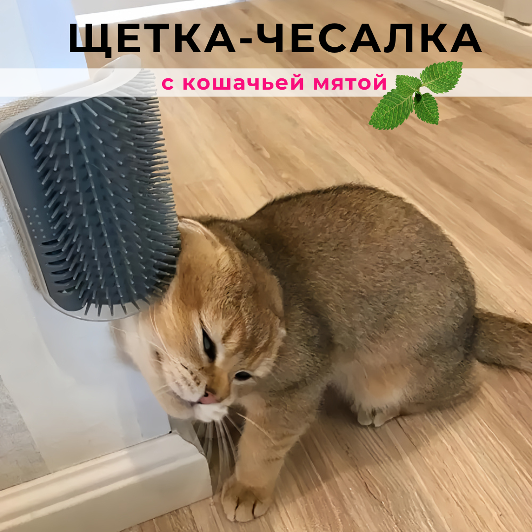 Чесалка для кошек на стену угловая ZooWell с кошачьей мятой и креплениями, щетка для кошек большая