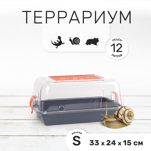 Террариум-клетка ZOOSET ДЮНА для улиток, черепах и мелких грызунов, 33х24х15 см, серый/оранжевый (прозрачная крышка)