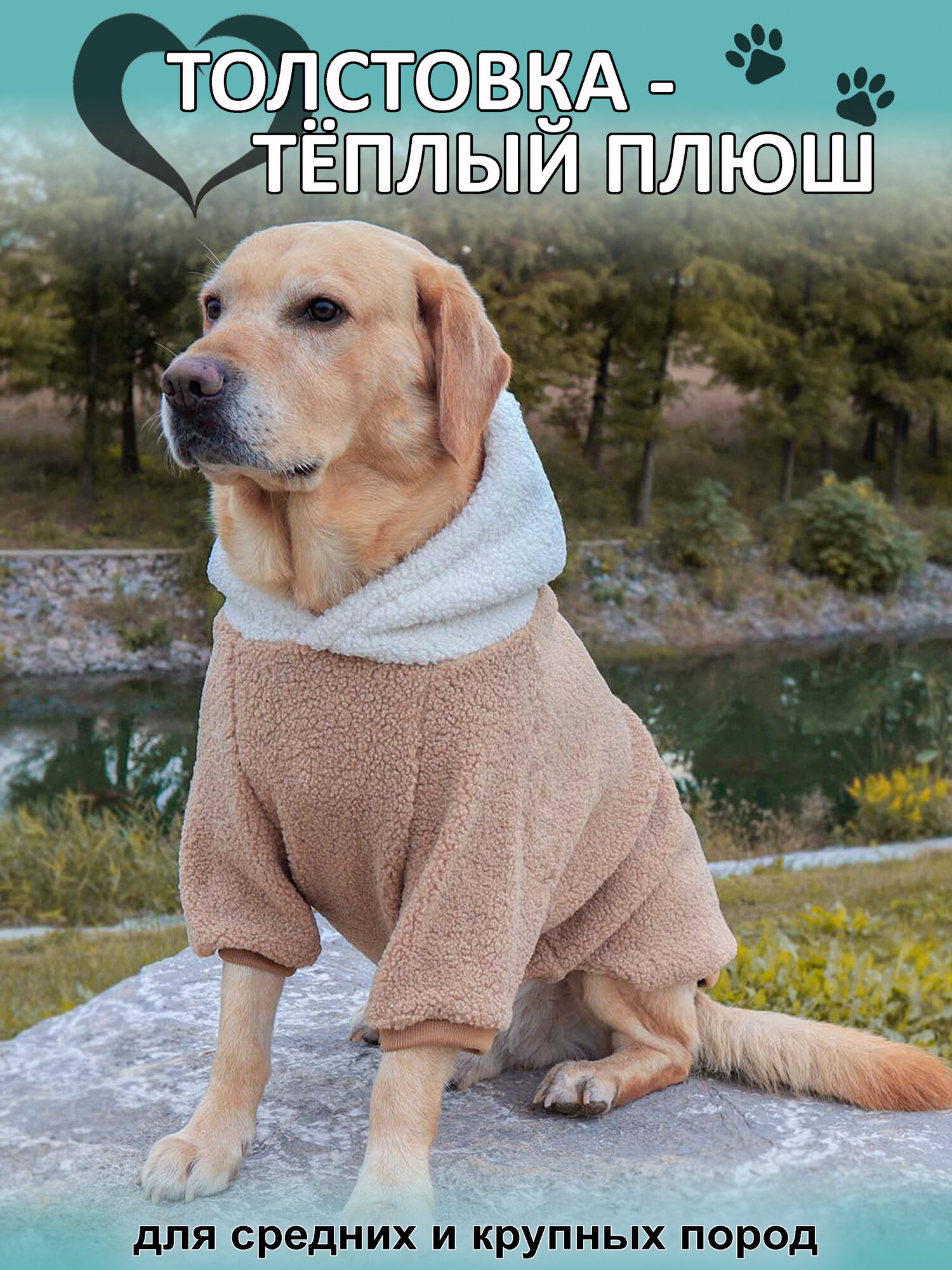 Толстовка Rexy crew "Плюш" для собак средних и крупных пород размер 4XL