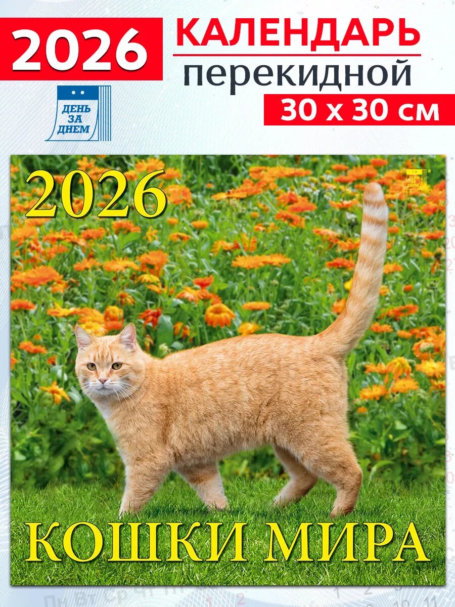 День за днем Календарь на 2026 год: "Кошки мира" 300х300 мм