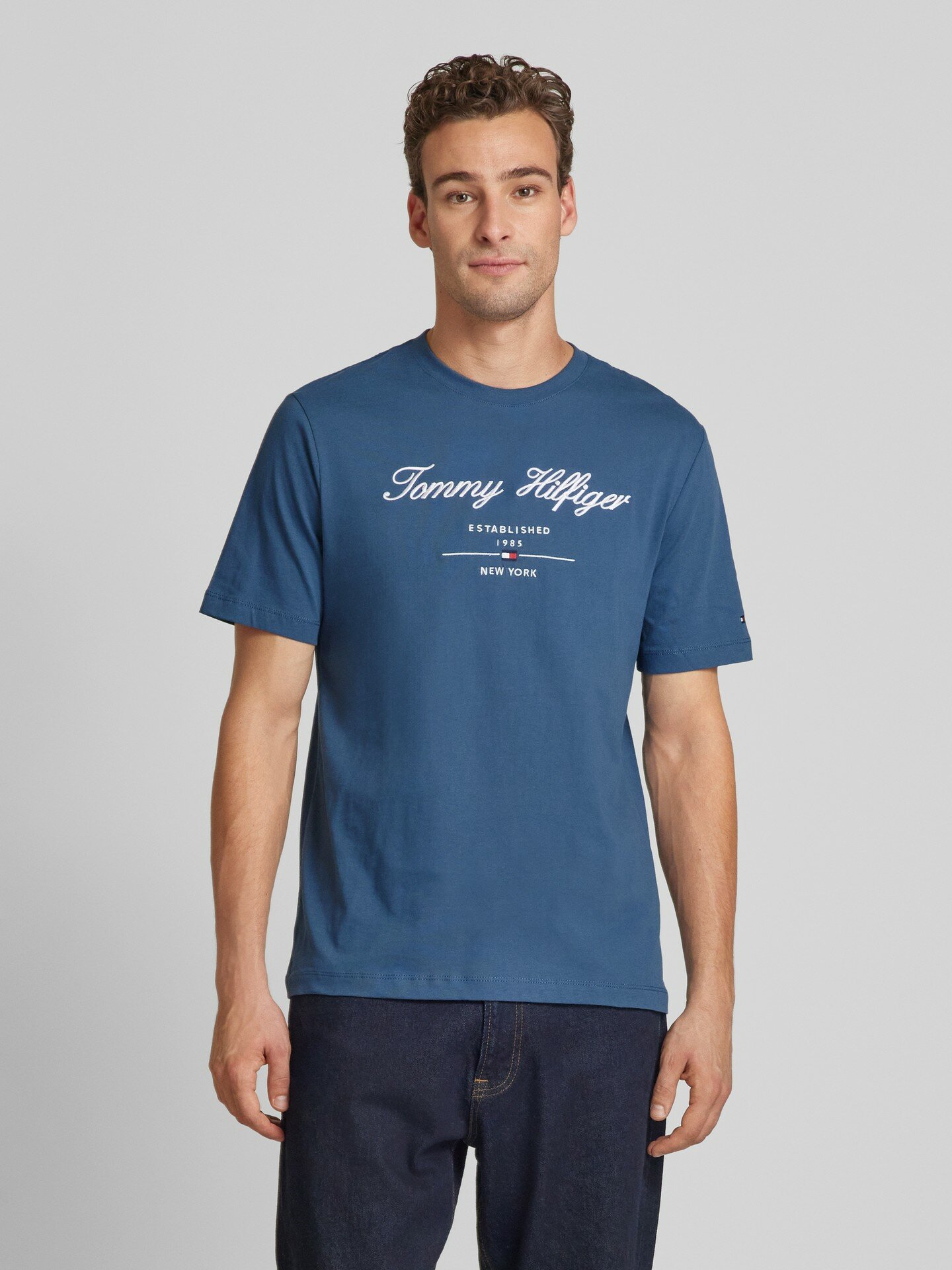 Футболка TOMMY HILFIGER, размер XL, синий