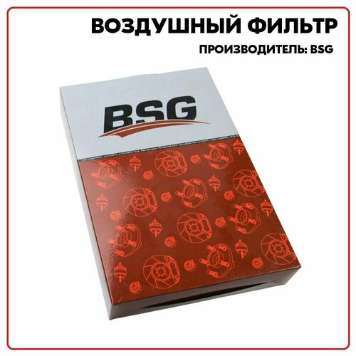 Воздушный фильтр, артикул BSG65135021, производитель BSG