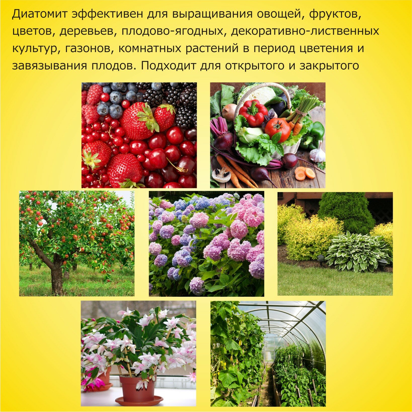 Диатомит садовый, фракция 3-5 мм, 1,4 кг - натуральное кремниевое удобрение для растений, почвоулучшитель для сада, огорода, комнатных растений