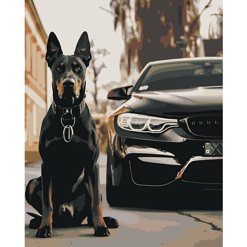 Картина по номерам Машина BMW и собака доберман 40х50