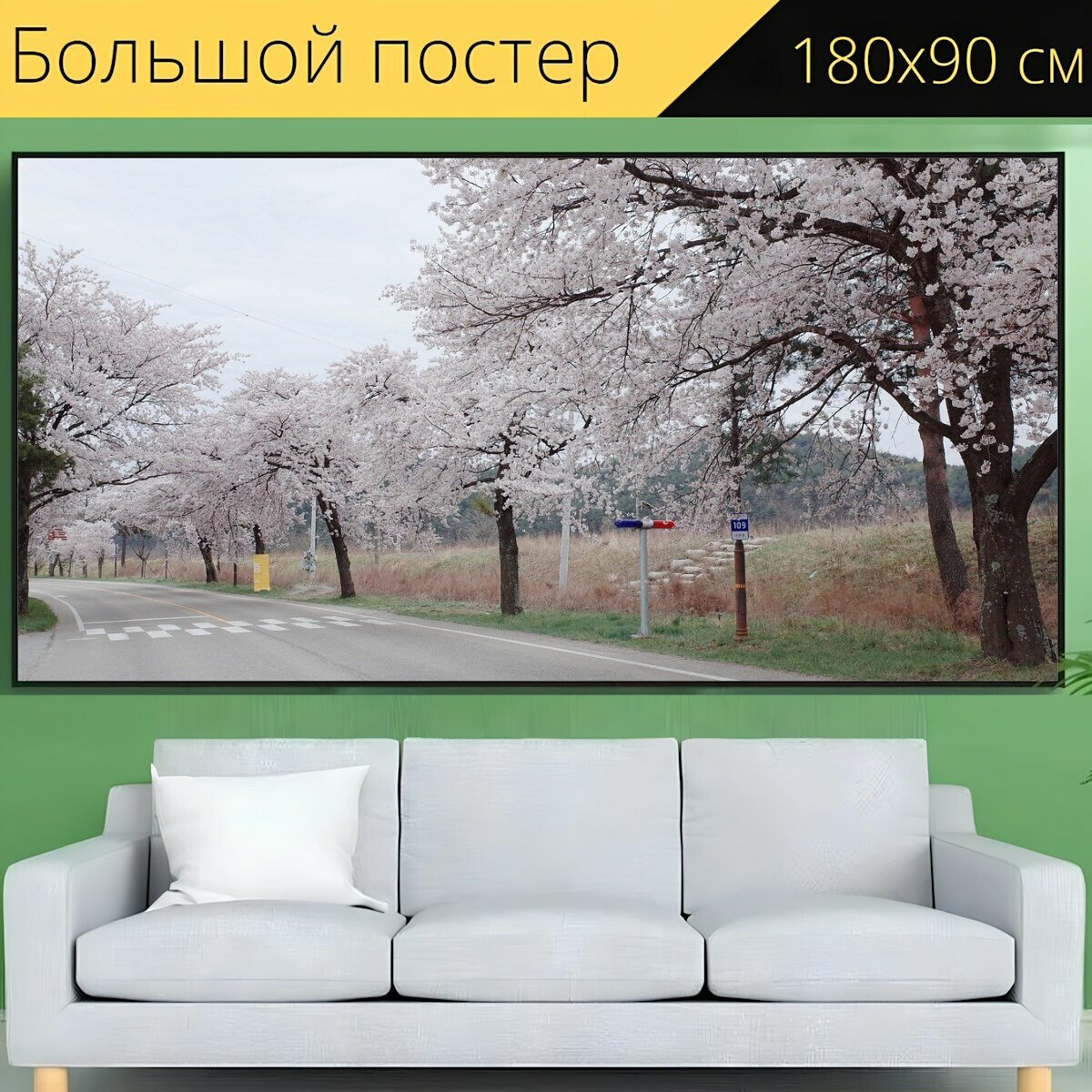 Большой постер "Республика корея, вишня в цвету, цветок" 180 x 90 см. для интерьера