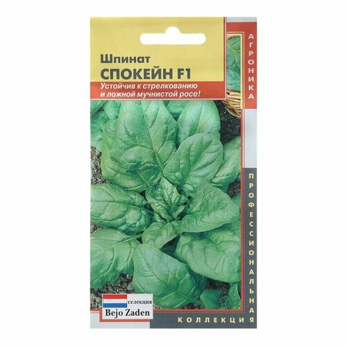 Семена Шпинат Спокейн F1 ( 1 упаковка ) семена шпинат спокейн f1 3 гр