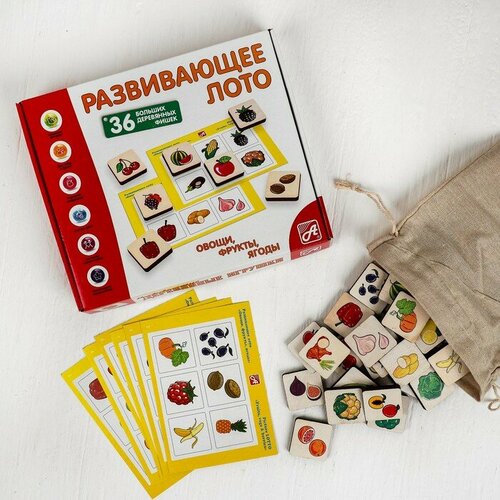 Лото Анданте Фрукты-Овощи (36 фишек, 6 карточек) (465Д/а) игрушки анданте развивающее лото 36 фишек