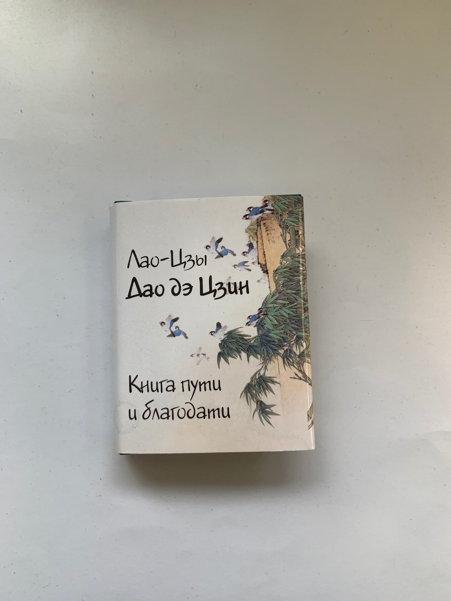 Книга пути и благодати