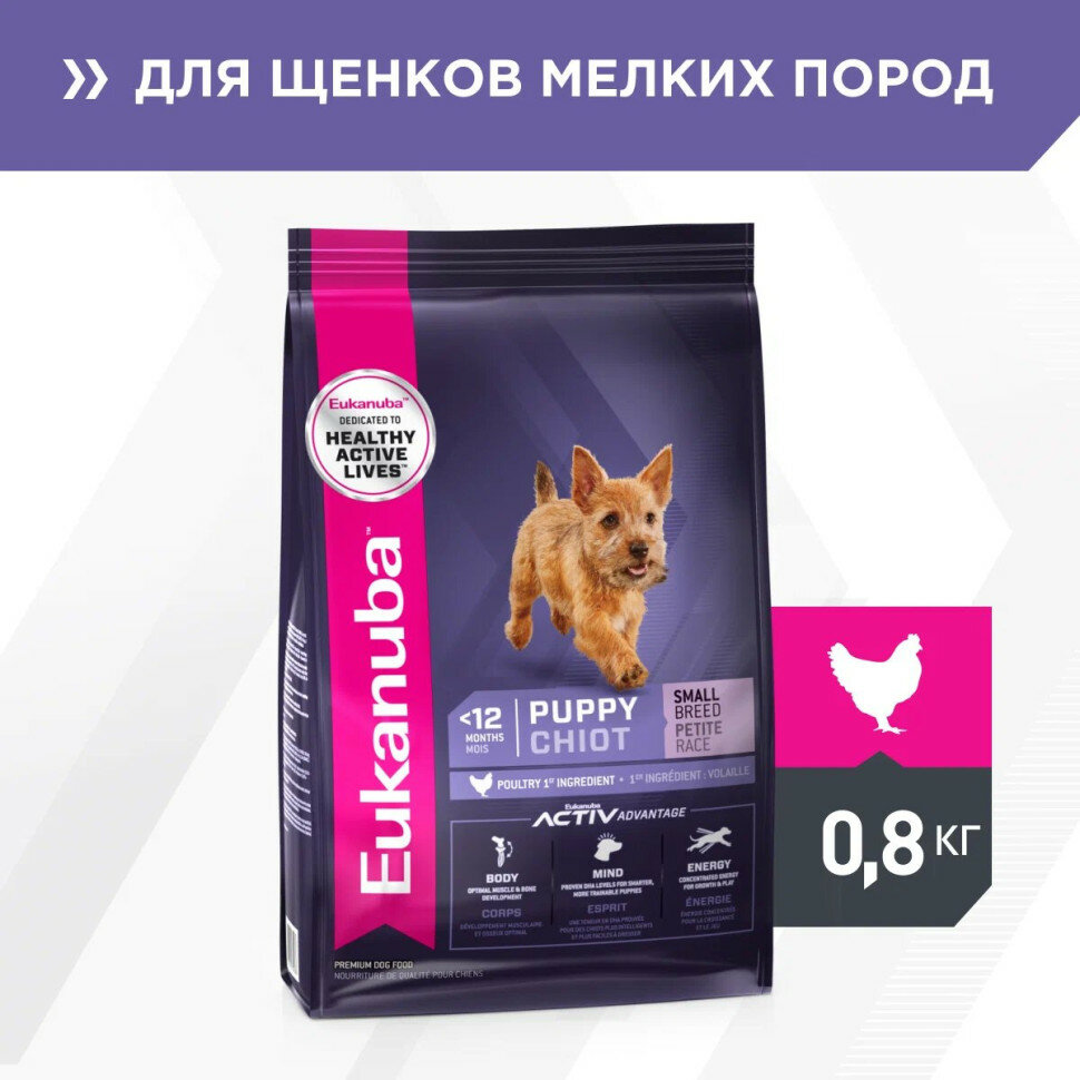 Сухой корм Eukanuba Puppy Small Breed для щенков мелких пород с курицей - 800 г