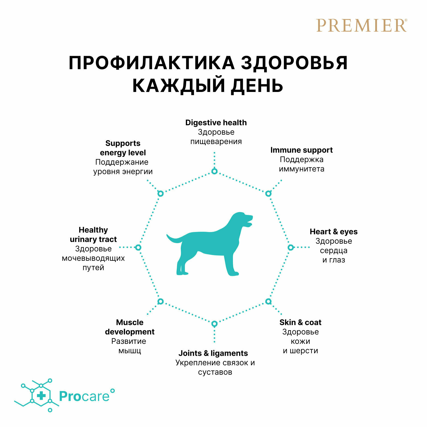 PREMIER Dog Medium Adult Salmon&Turkey Корм сух.филе лосося,индейка д/собак средних пород 1кг - фото №8