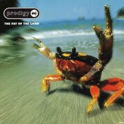 THE PRODIGY - THE FAT OF THE LAND (2LP) виниловая пластинка