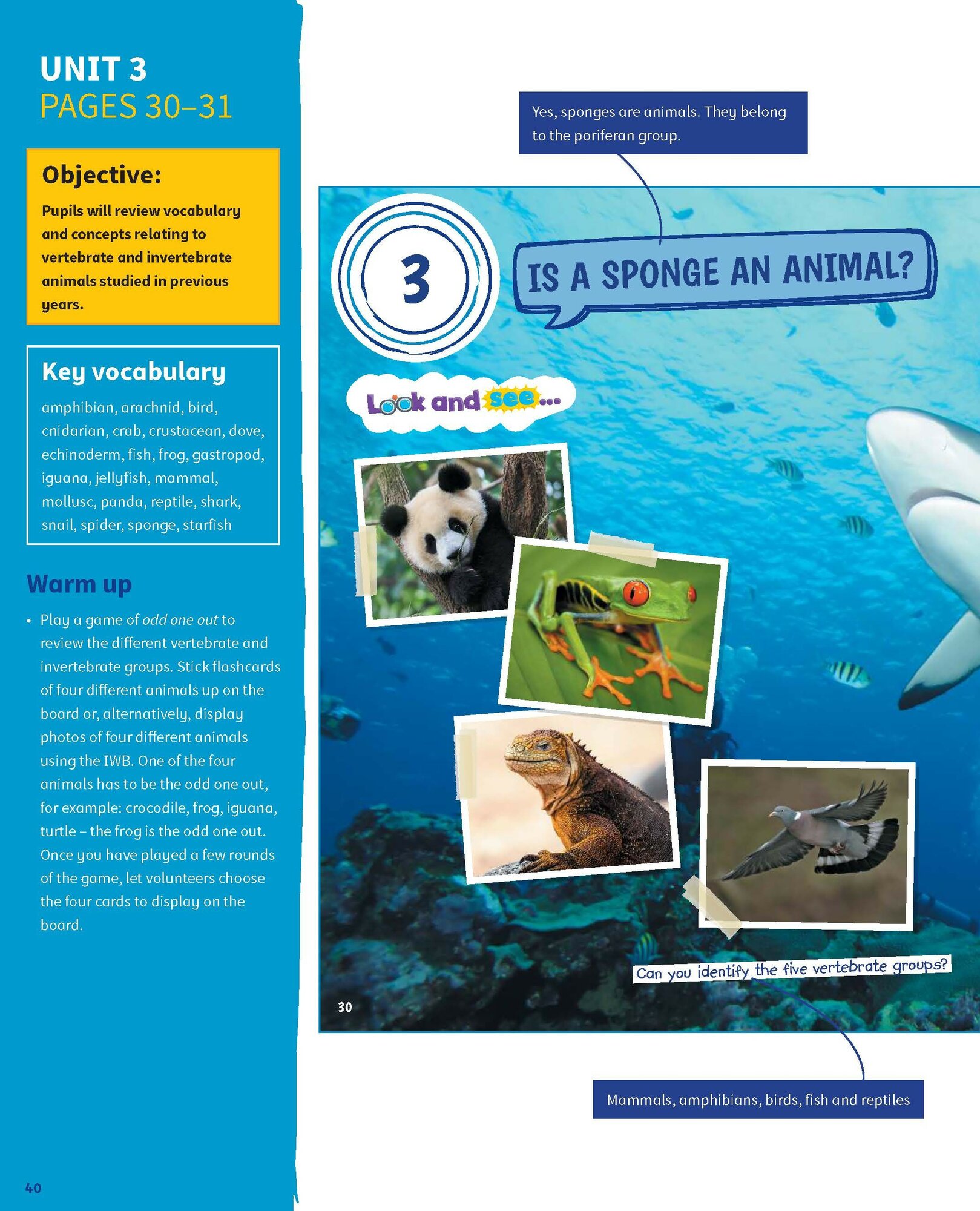Science Skills. Level 4. Teacher's Book with Downloadable Audio - фото №10