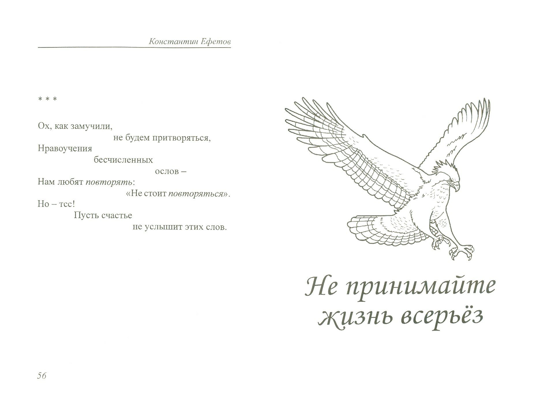 Сверхлегкие намеки (Ефетов Константин Александрович) - фото №2