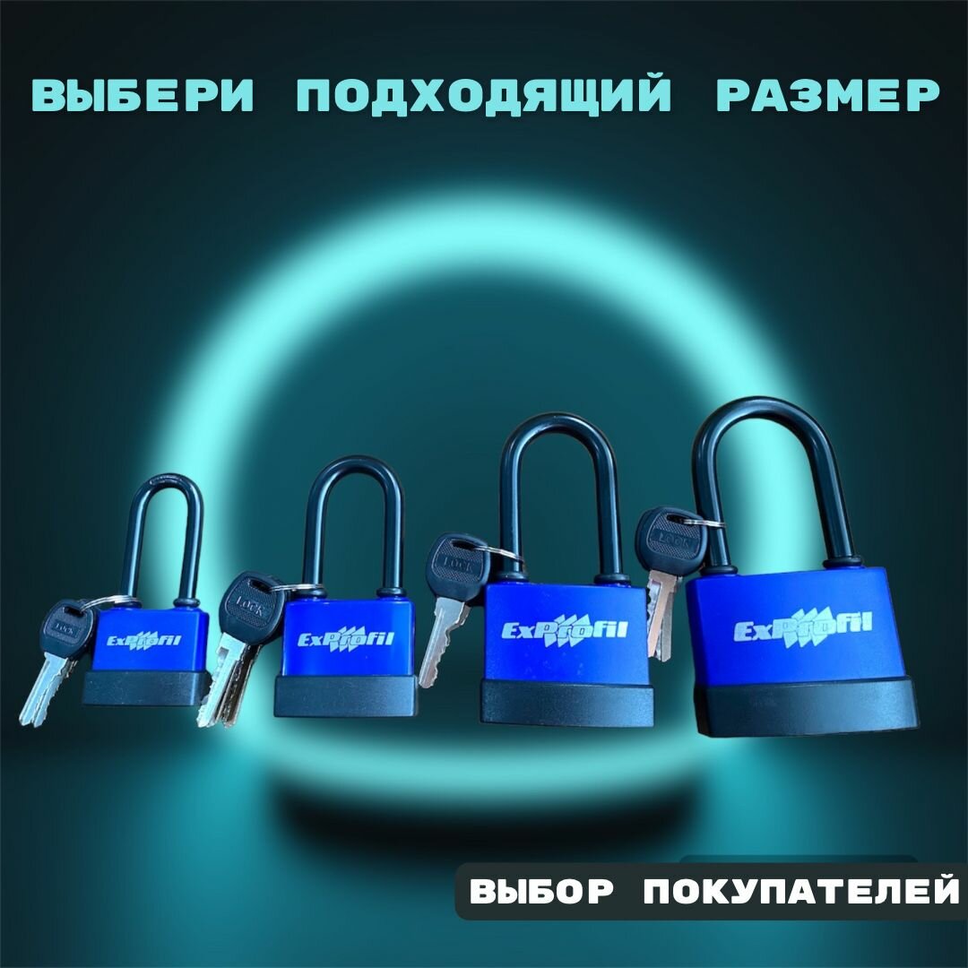 Замки Навесные Навесной замок ExProfil (70) с усиленным ригелем и защитой от погодных условий