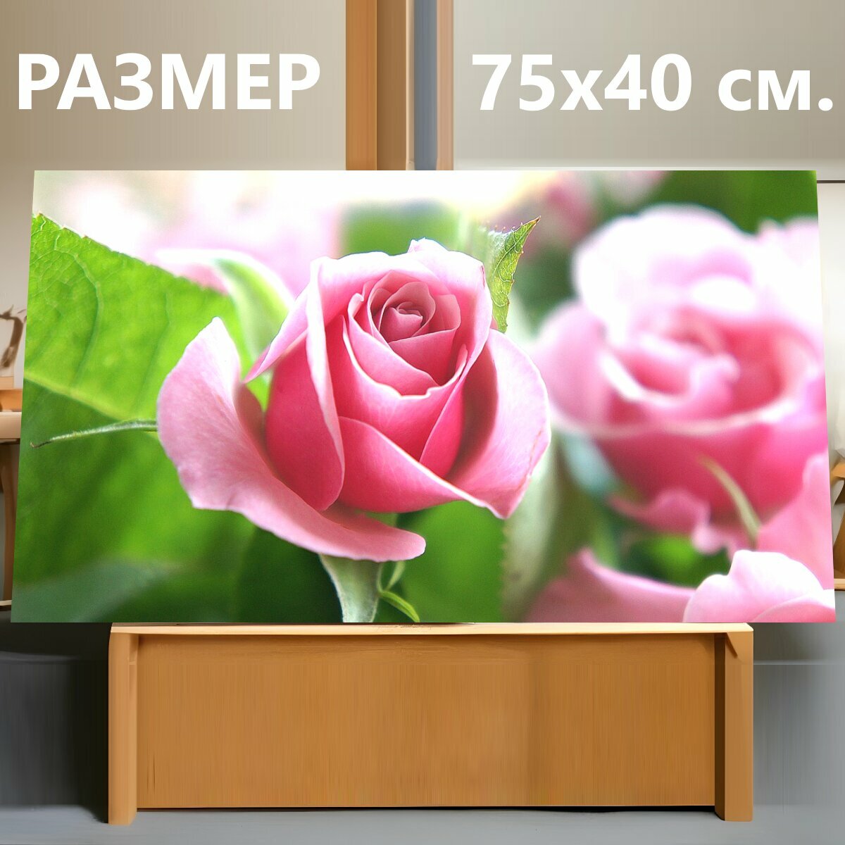 Картина на холсте "Роуз, розовая роза, розовый" на подрамнике 75х40 см. для интерьера